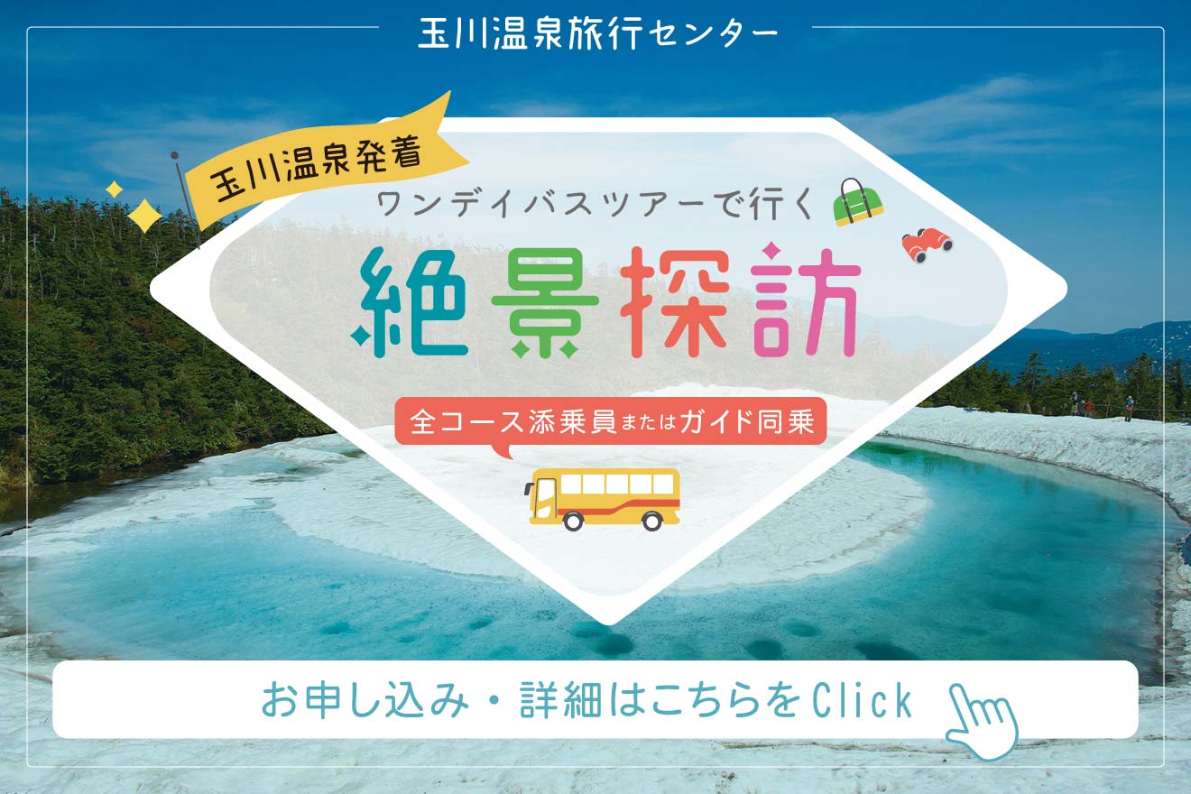 1Dayツアー