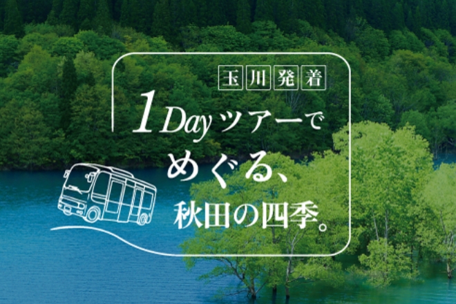 1Dayツアー